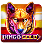 teen patti wonder logo