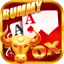rummy movie music director